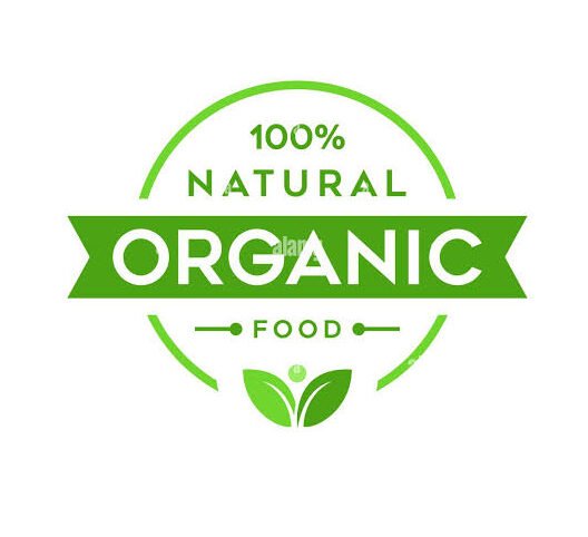 images – 2026-02-10T142800.224